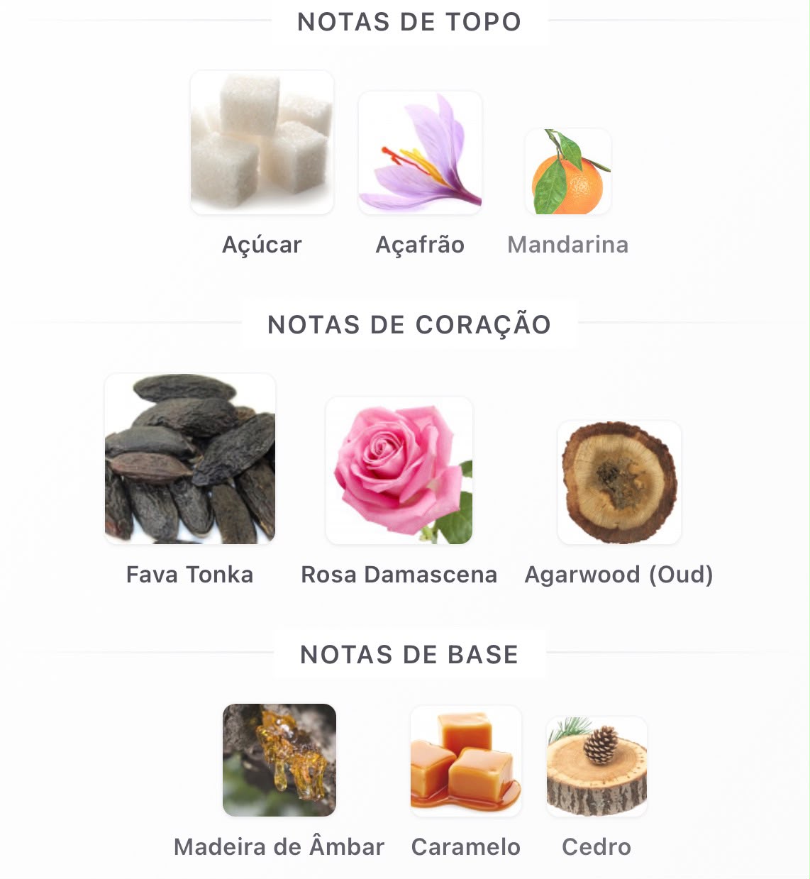 MOMENTO RIIFFS EDP 100ML