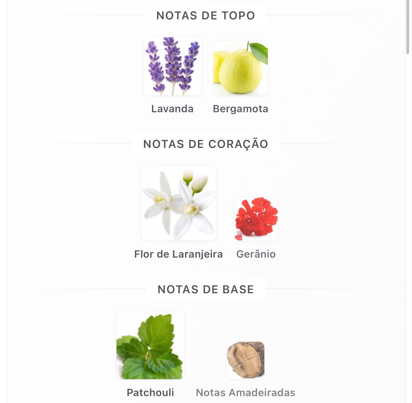 Armaf Dubai Nights Midnight EDP 100ml