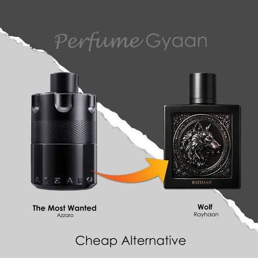 Rayhaan Wolf EDP 100ml